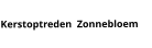 Kerstoptreden  Zonnebloem