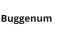 Buggenum