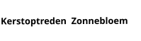 Kerstoptreden  Zonnebloem